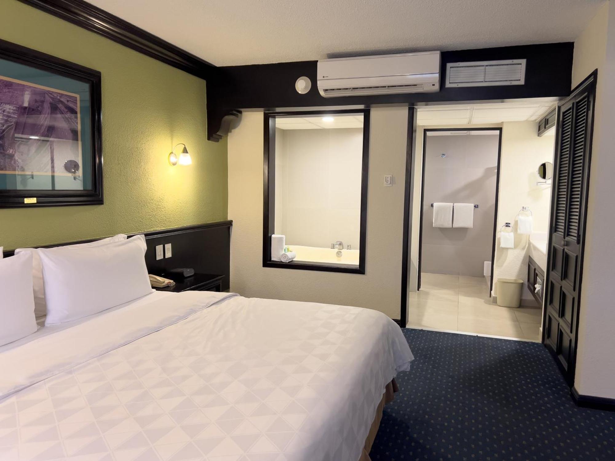 Holiday Inn San Luis Potosi-Quijote By Ihg Buitenkant foto