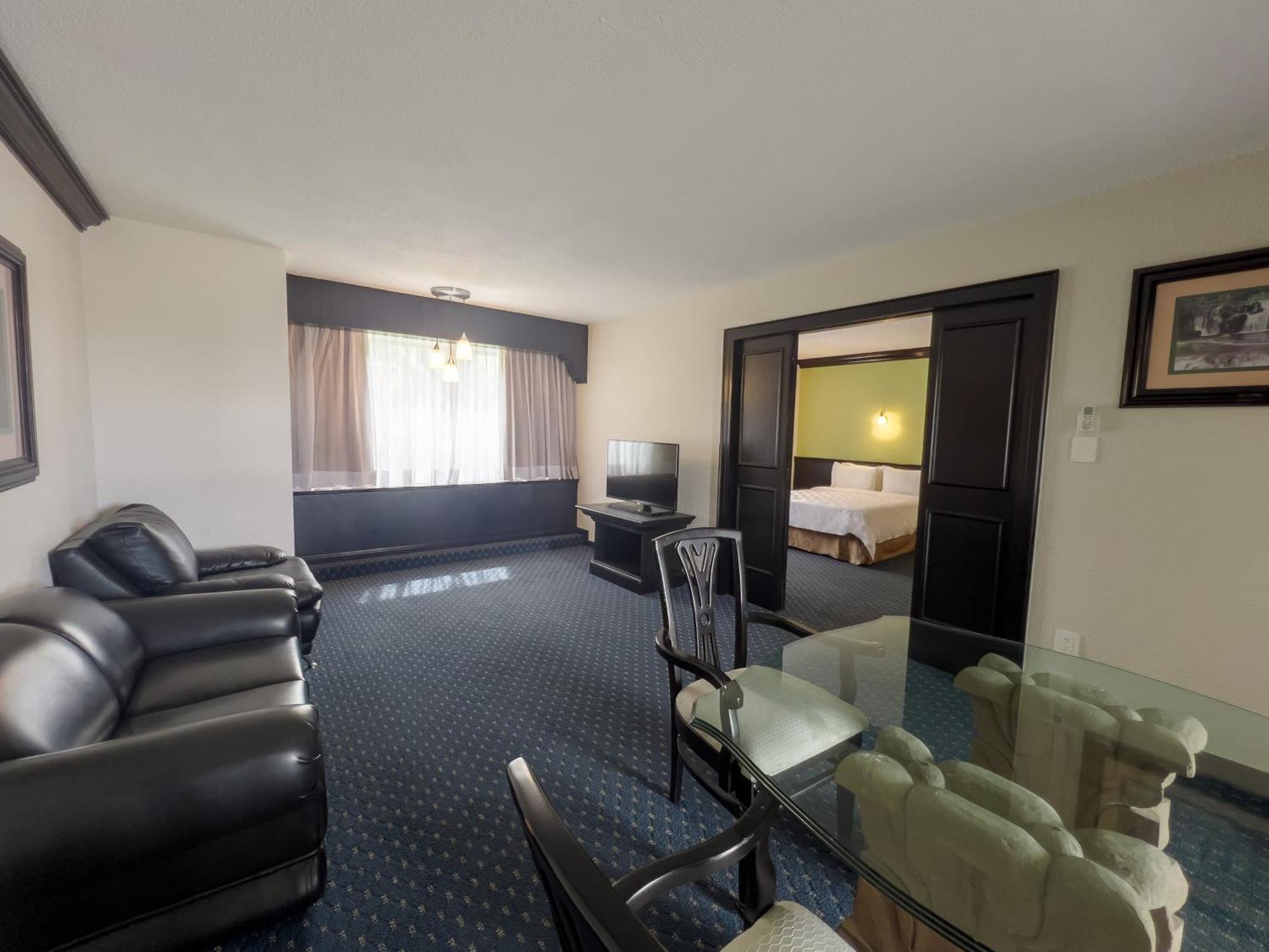 Holiday Inn San Luis Potosi-Quijote By Ihg Buitenkant foto