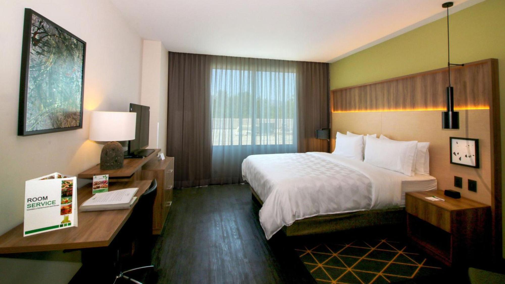 Holiday Inn San Luis Potosi-Quijote By Ihg Buitenkant foto