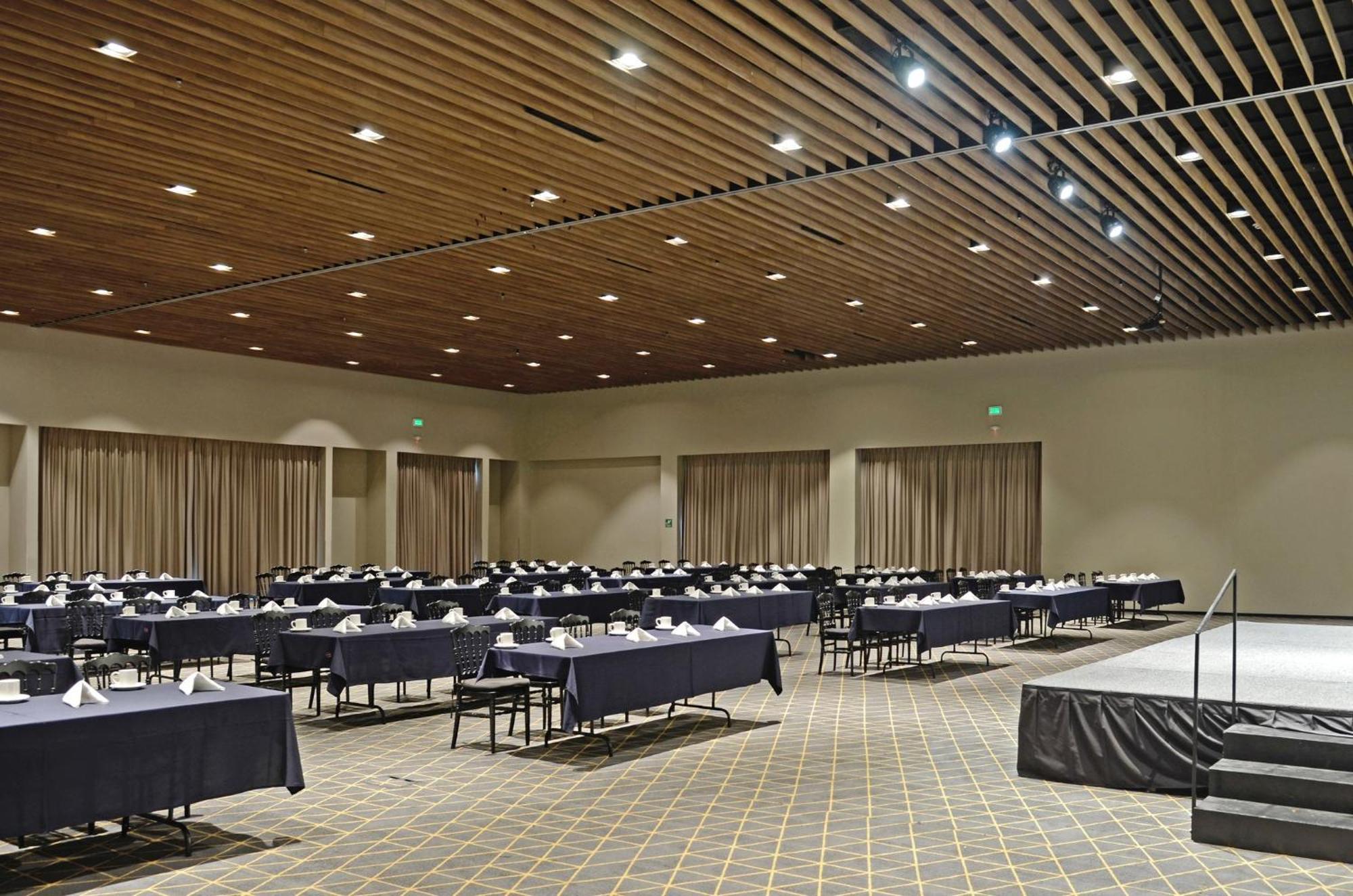 Holiday Inn San Luis Potosi-Quijote By Ihg Buitenkant foto